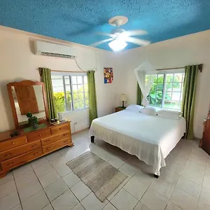 3* Guest house Green's Palace Jamaica